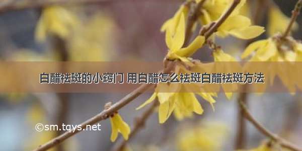 白醋祛斑的小窍门 用白醋怎么祛斑白醋祛斑方法