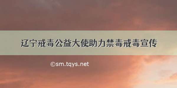 辽宁戒毒公益大使助力禁毒戒毒宣传