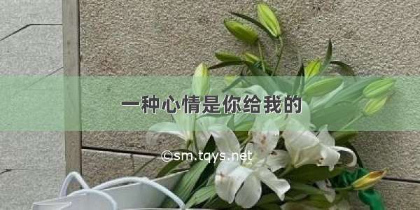 一种心情是你给我的