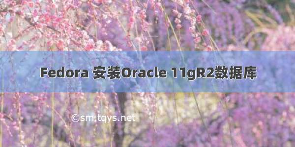 Fedora 安装Oracle 11gR2数据库