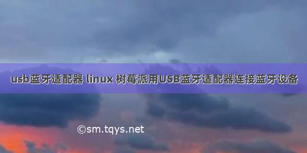 usb蓝牙适配器 linux 树莓派用USB蓝牙适配器连接蓝牙设备