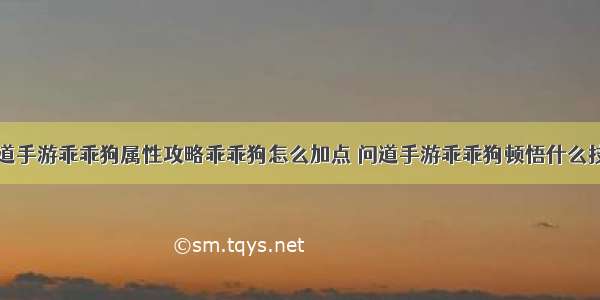 问道手游乖乖狗属性攻略乖乖狗怎么加点 问道手游乖乖狗顿悟什么技能