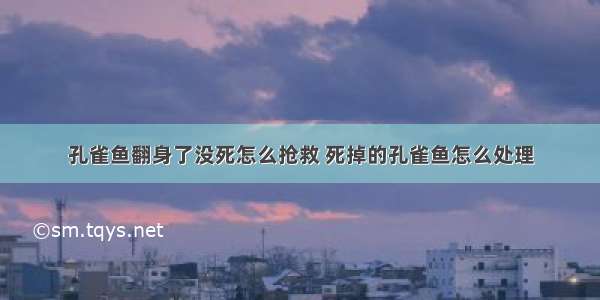 孔雀鱼翻身了没死怎么抢救 死掉的孔雀鱼怎么处理