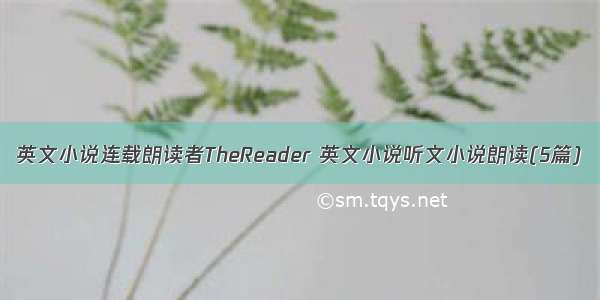 英文小说连载朗读者TheReader 英文小说听文小说朗读(5篇)