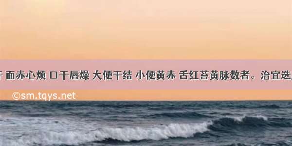 发热盗汗 面赤心烦 口干唇燥 大便干结 小便黄赤 舌红苔黄脉数者。治宜选用()A.白