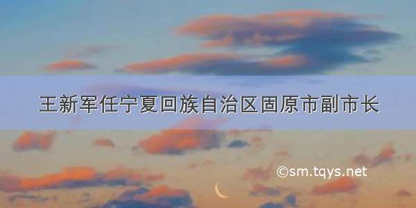 王新军任宁夏回族自治区固原市副市长