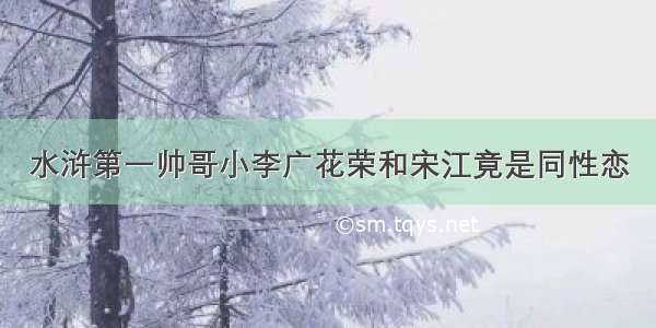 水浒第一帅哥小李广花荣和宋江竟是同性恋