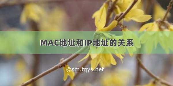 MAC地址和IP地址的关系