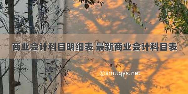 商业会计科目明细表 最新商业会计科目表