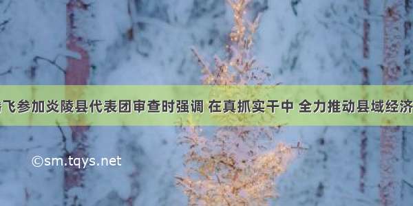 毛腾飞参加炎陵县代表团审查时强调 在真抓实干中 全力推动县域经济振兴