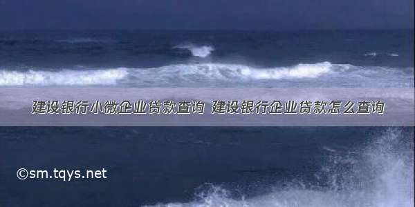 建设银行小微企业贷款查询 建设银行企业贷款怎么查询