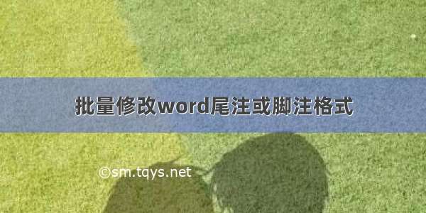 批量修改word尾注或脚注格式