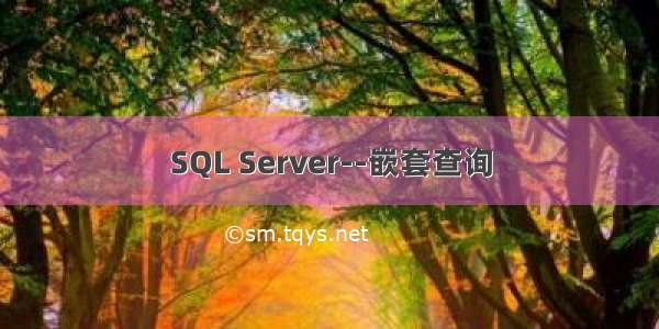 SQL Server--嵌套查询