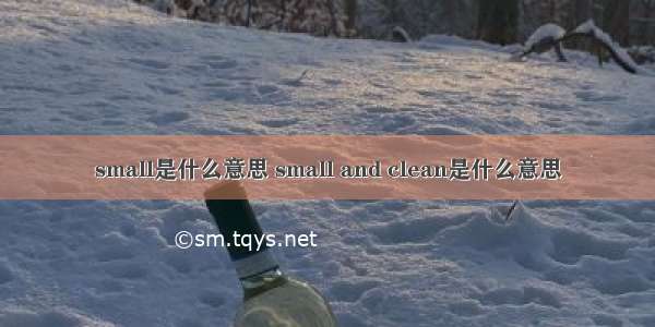 small是什么意思 small and clean是什么意思