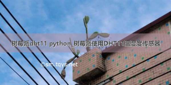 树莓派dht11 python_树莓派使用DHT11温湿度传感器