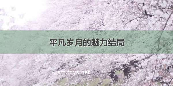 平凡岁月的魅力结局