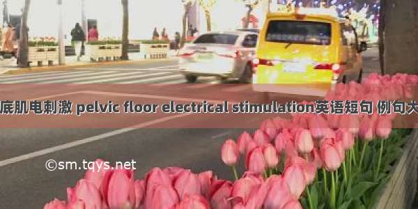 盆底肌电刺激 pelvic floor electrical stimulation英语短句 例句大全