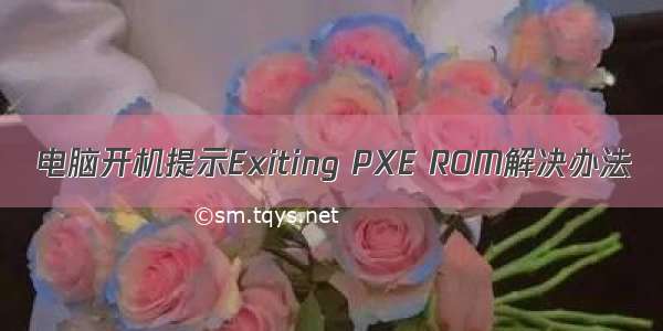 电脑开机提示Exiting PXE ROM解决办法