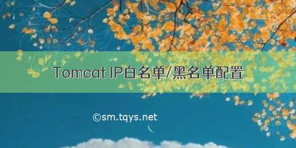 Tomcat IP白名单/黑名单配置