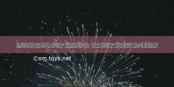 原阳县召开黄河文化座谈会 让黄河文化软实力硬起来