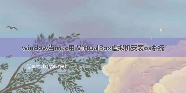 window当mac用 VirtualBox虚拟机安装os系统