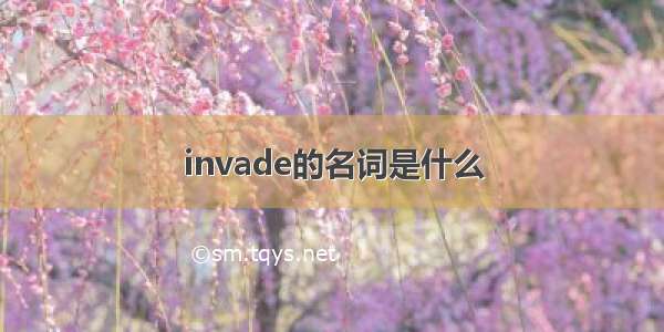 invade的名词是什么