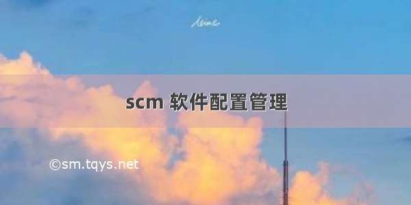 scm 软件配置管理