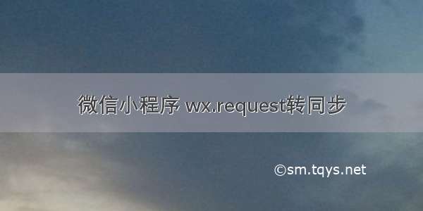 微信小程序 wx.request转同步