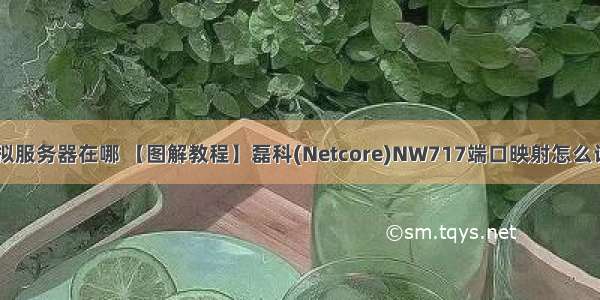 磊科 虚拟服务器在哪 【图解教程】磊科(Netcore)NW717端口映射怎么设置教程