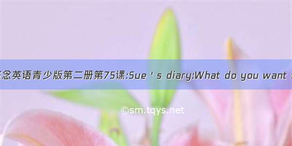 新概念英语青少版第二册第75课:Sue＇s diary:What do you want for