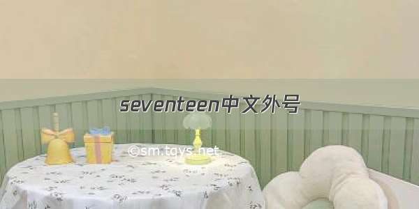 seventeen中文外号