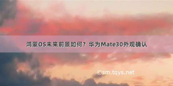 鸿蒙OS未来前景如何？华为Mate30外观确认