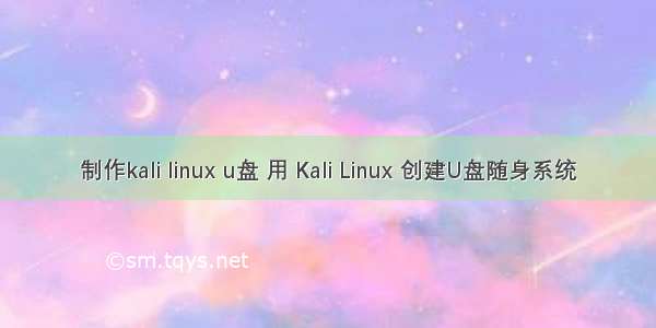 制作kali linux u盘 用 Kali Linux 创建U盘随身系统