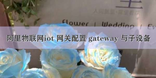 阿里物联网iot 网关配置 gateway 与子设备