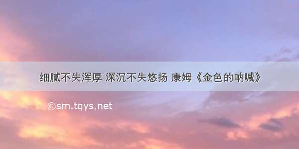 细腻不失浑厚 深沉不失悠扬 康姆《金色的呐喊》