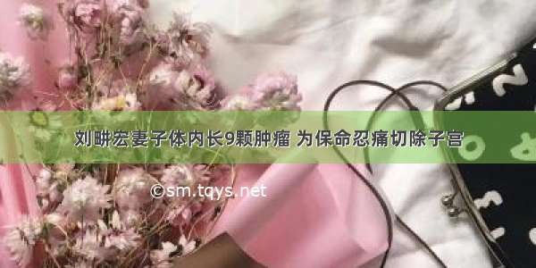 刘畊宏妻子体内长9颗肿瘤 为保命忍痛切除子宫