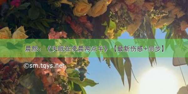 晨熙：《失眠在凌晨两点半》【最新伤感+同步】