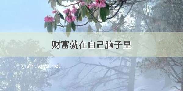 财富就在自己脑子里