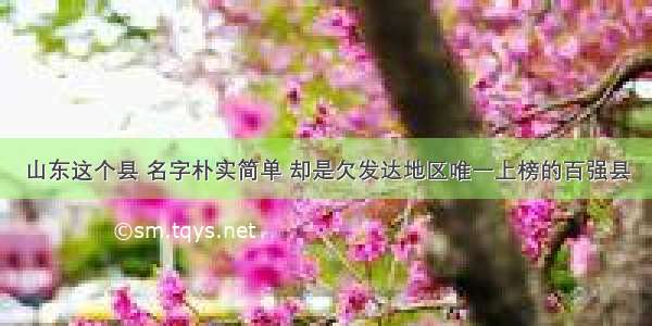 山东这个县 名字朴实简单 却是欠发达地区唯一上榜的百强县