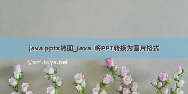 java pptx转图_Java  将PPT转换为图片格式