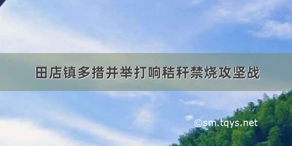 田店镇多措并举打响秸秆禁烧攻坚战