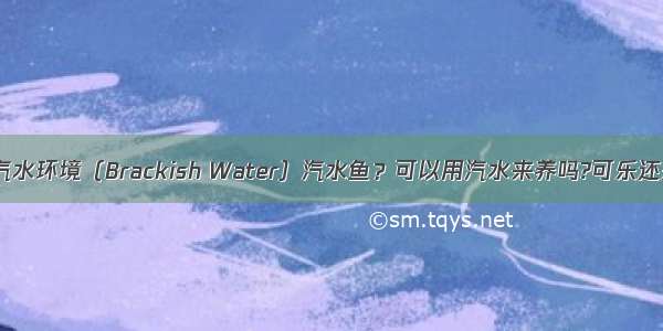 什么是汽水环境（Brackish Water）汽水鱼？可以用汽水来养吗?可乐还是雪碧?