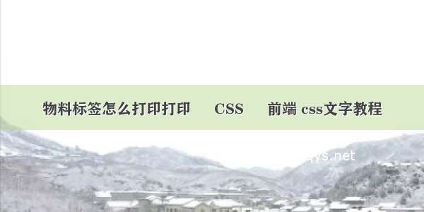 物料标签怎么打印打印 – CSS – 前端 css文字教程