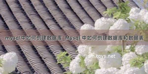 mysql中如何创建数据库_Mysql 中如何创建数据库和数据表