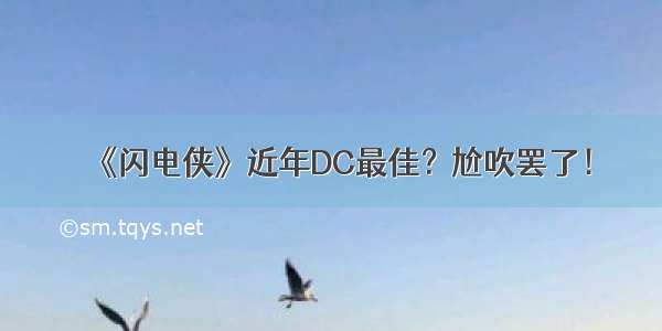 《闪电侠》近年DC最佳？尬吹罢了！