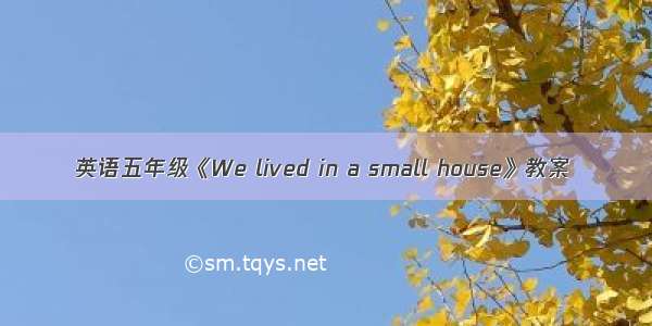 英语五年级《We lived in a small house》教案