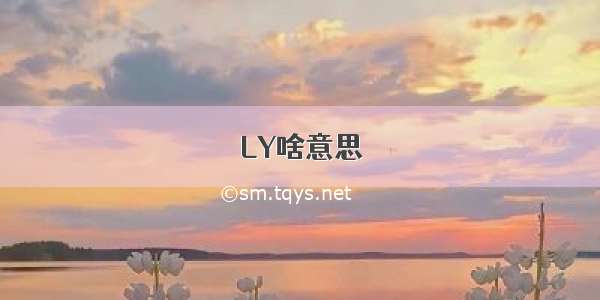 LY啥意思