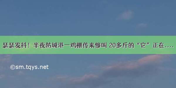 瑟瑟发抖！半夜防城港一鸡棚传来惨叫 20多斤的“它”正在....