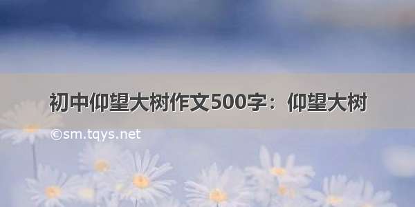 初中仰望大树作文500字：仰望大树