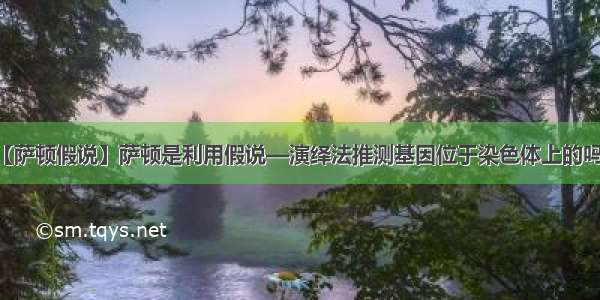 【萨顿假说】萨顿是利用假说—演绎法推测基因位于染色体上的吗...